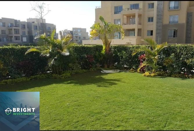 8120518 - Property Image 2