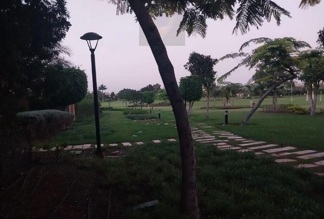 8169718 - صورة العقار 2