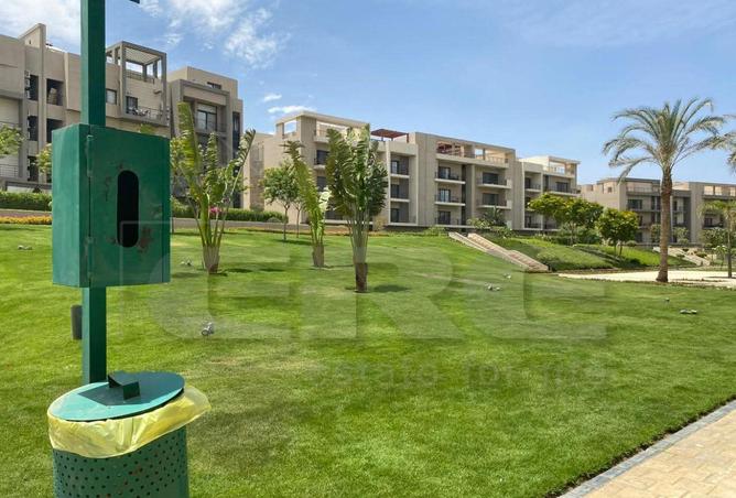 8137957 - Property Image 3