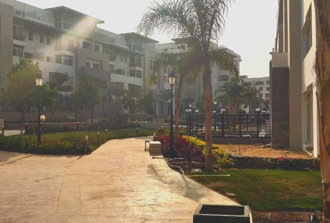 8557582 - Property Image 3