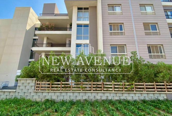 8431602 - صورة العقار 2