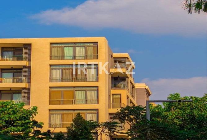 8282295 - Property Image 3