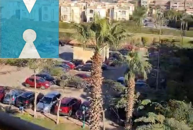 8251003 - صورة العقار 3