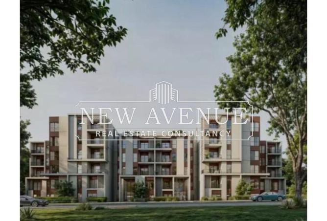 8334429 - Property Image 3