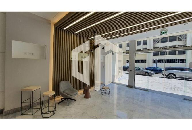 8246327 - Property Image 3