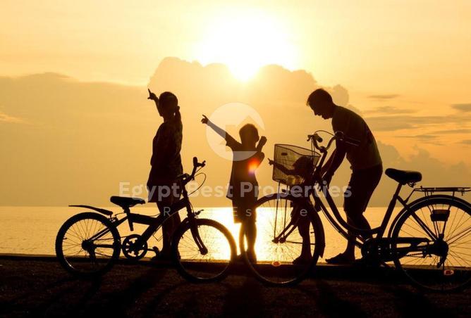 8245620 - صورة العقار 2