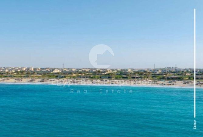 8434908 - Property Image 2