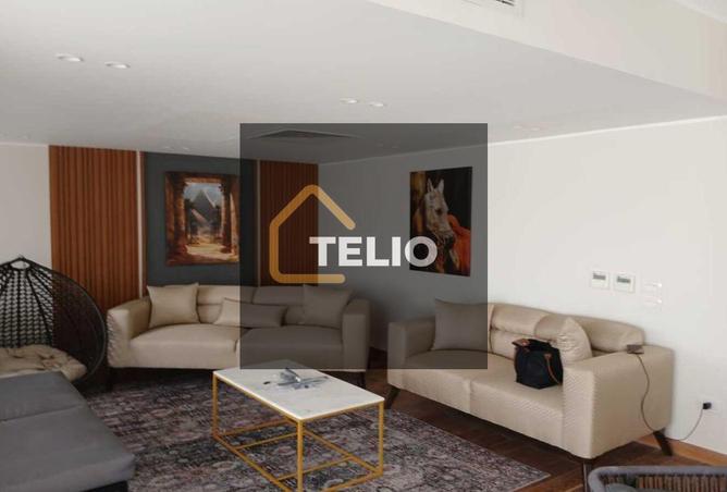 8313683 - Property Image 3