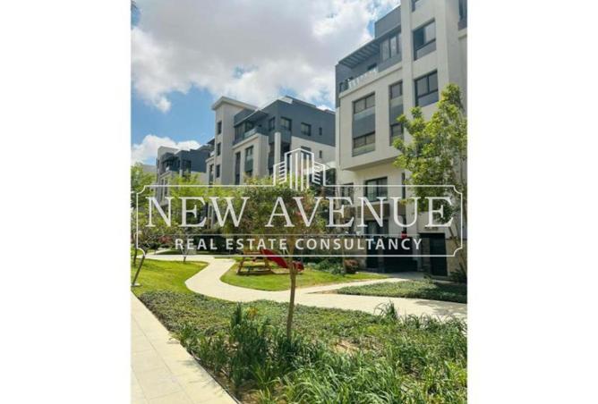 8206525 - Property Image 2