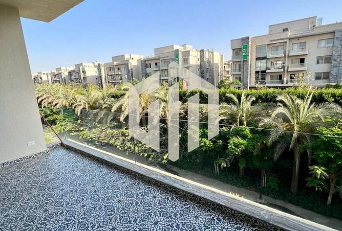 8082505 - Property Image 3