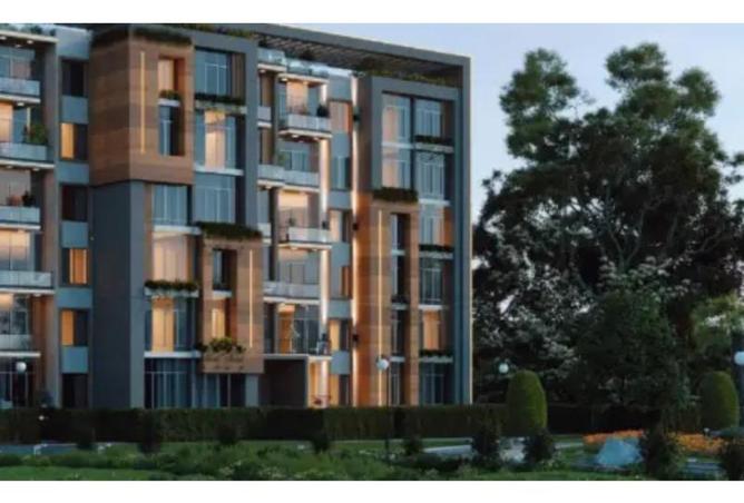 8177979 - صورة العقار 3