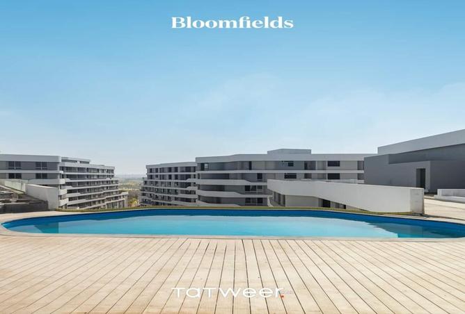 7993379 - Property Image 3