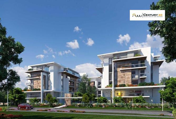 6692118 - Property Image 3