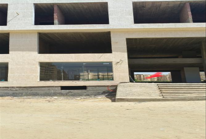 7981882 - صورة العقار 3