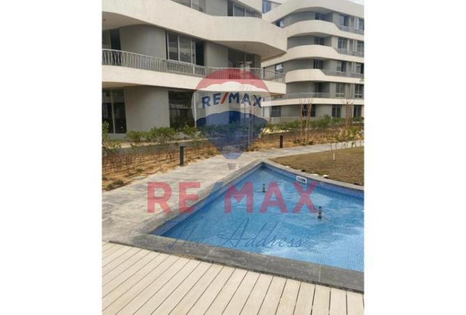 8137899 - Property Image 3
