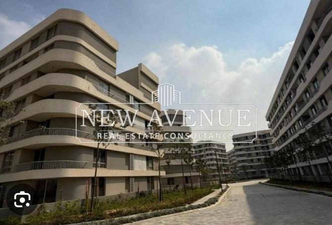 8434955 - Property Image 2