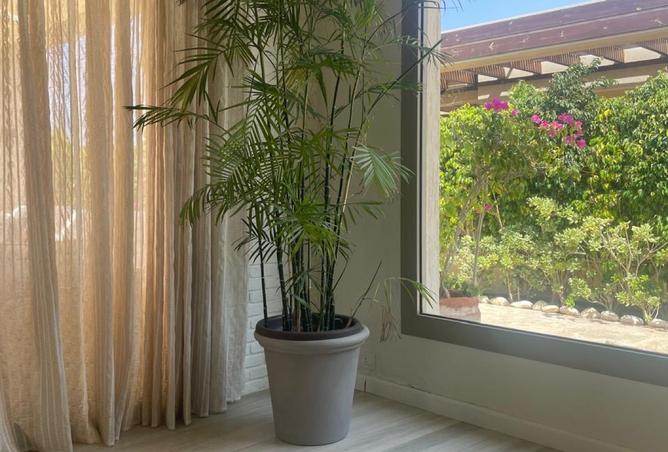 8150092 - صورة العقار 3