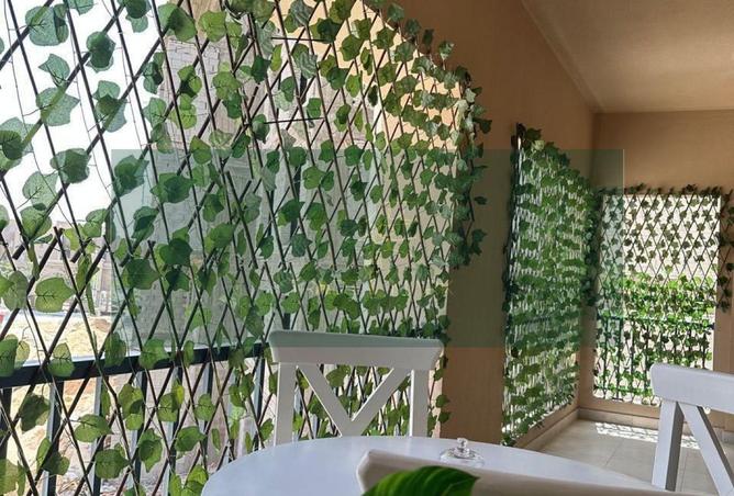 8353067 - صورة العقار 2