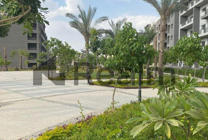 8436259 - Property Image 2