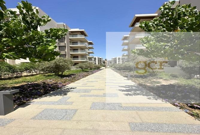 8195683 - Property Image 3