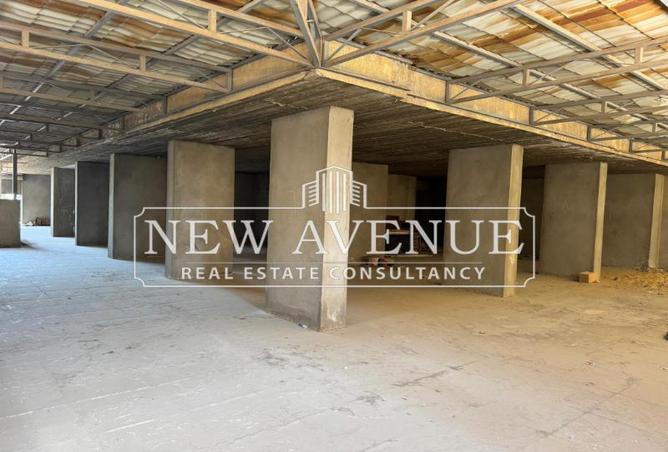 8067330 - Property Image 3