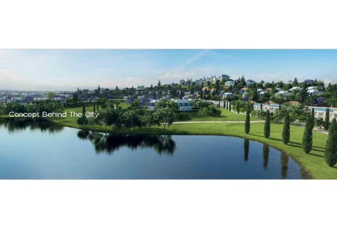 8097559 - صورة العقار 3