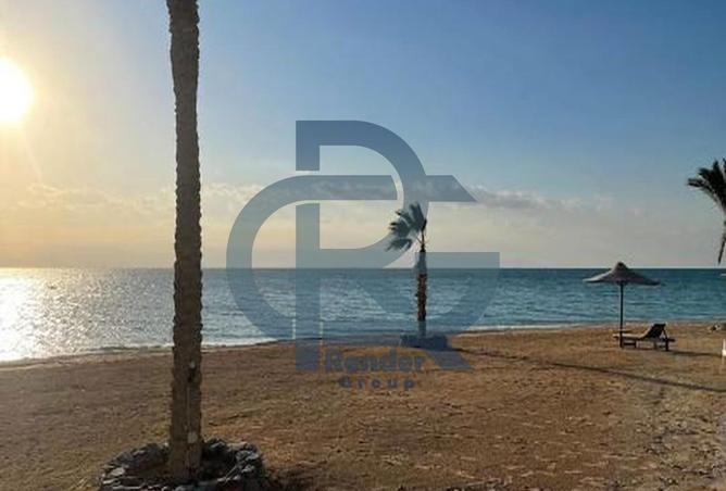 8353465 - Property Image 2