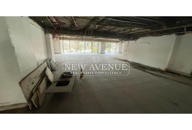 8479672 - Property Image 3