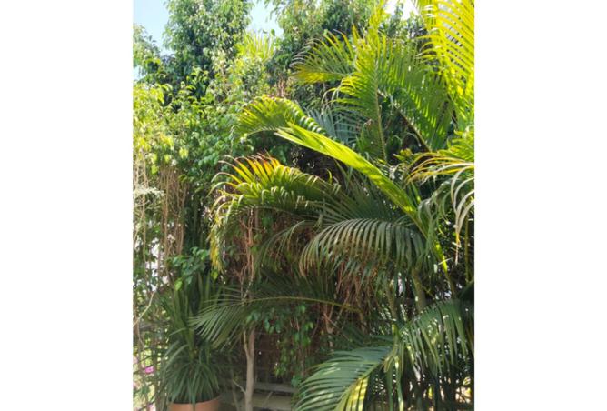 8347221 - صورة العقار 3