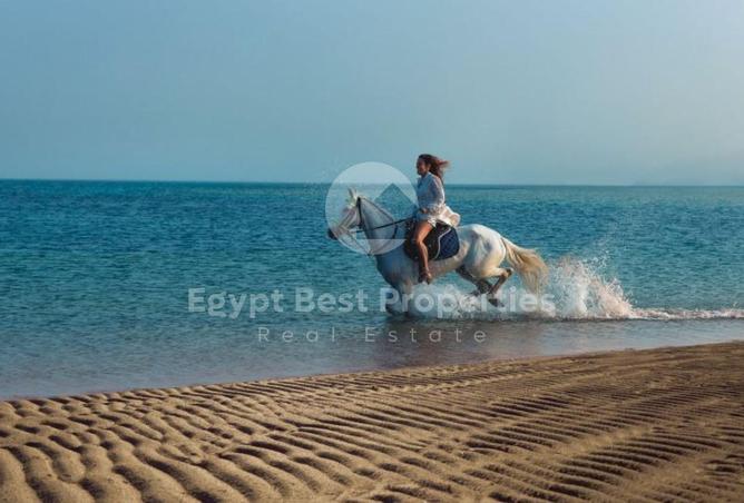 7958256 - صورة العقار 2