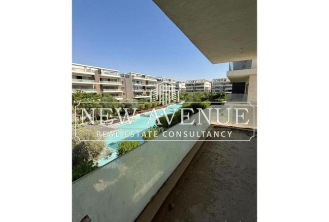 8068479 - Property Image 3