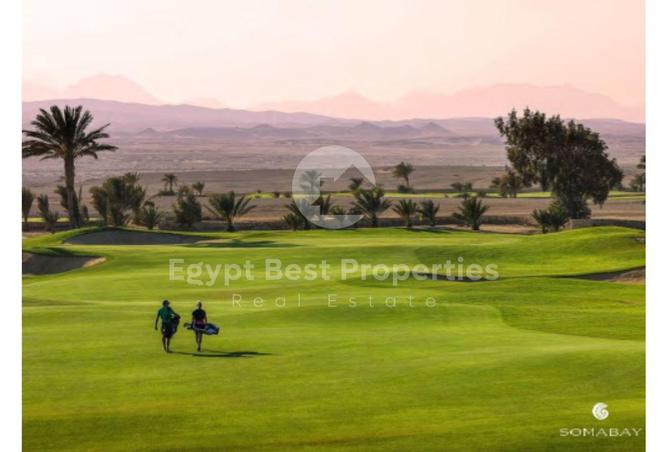 8371323 - Property Image 3