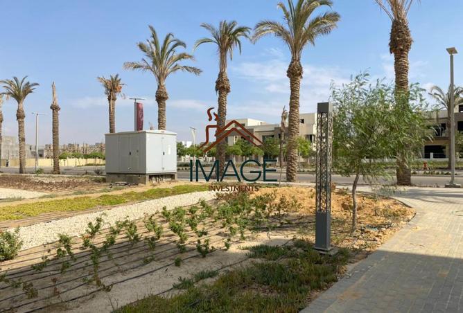 8252776 - Property Image 2