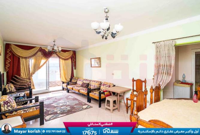 8523519 - Property Main Image