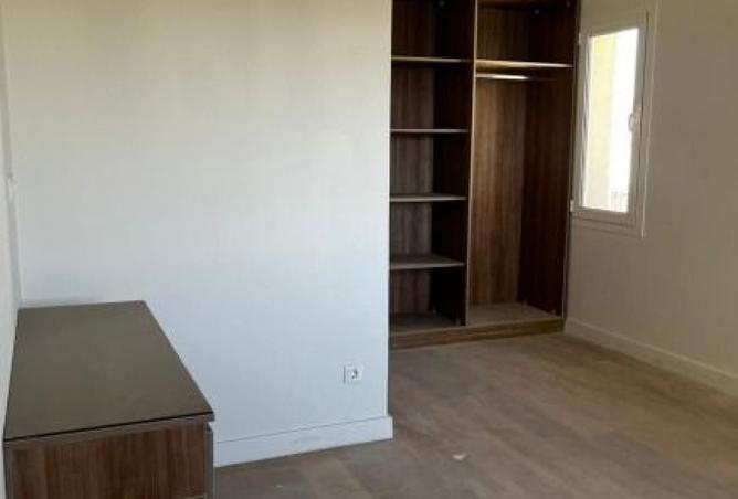 8296543 - Property Image 2