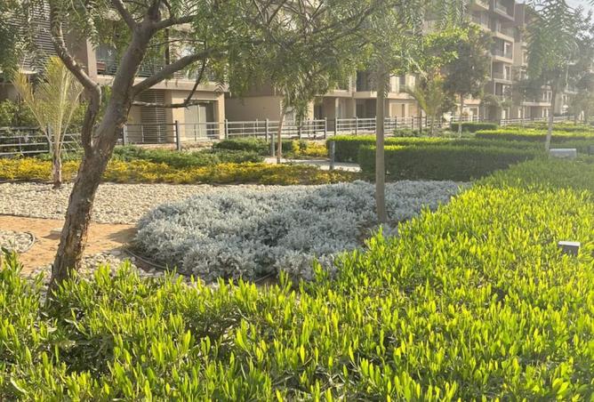 8448878 - الصورة الرئيسية للعقار