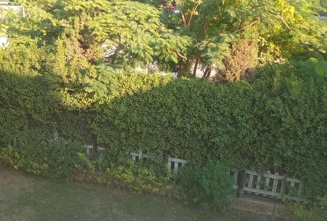 8180540 - صورة العقار 3