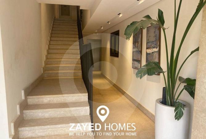 7916768 - Property Image 3