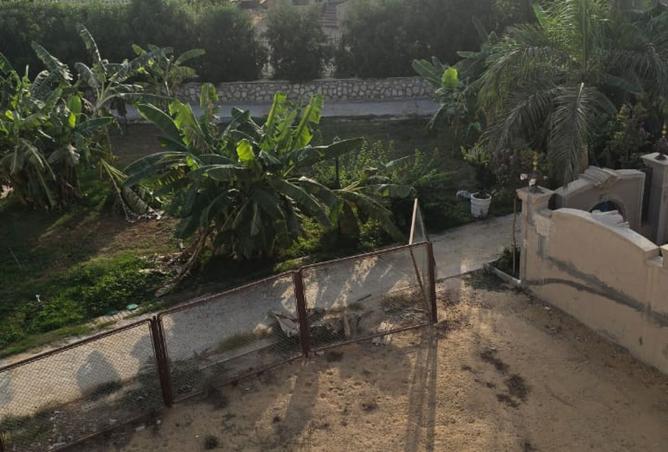 8326392 - صورة العقار 3