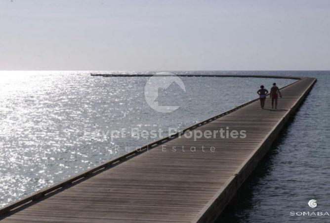 7923013 - صورة العقار 3