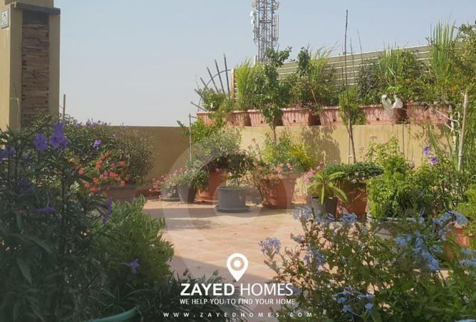 7949682 - صورة العقار 3