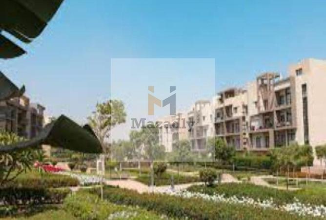 8014319 - صورة العقار 3