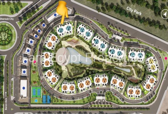 8215370 - Property Image 3