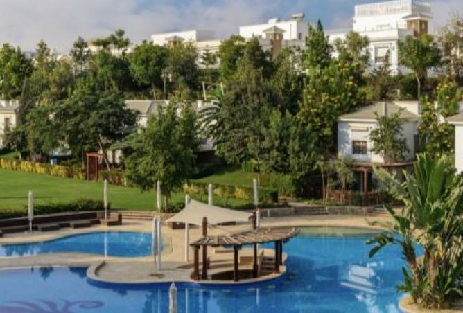 8529344 - Property Image 3