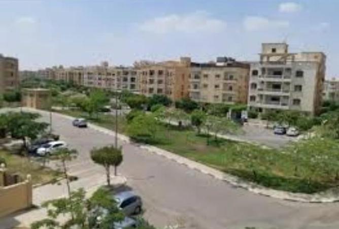 7959015 - صورة العقار 3