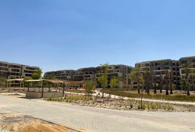 7904543 - Property Image 3