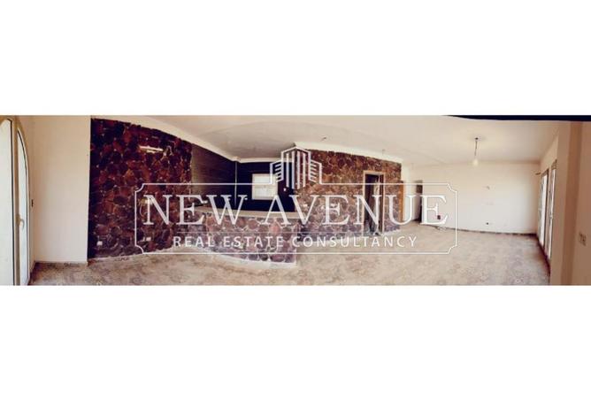 8156357 - Property Image 3