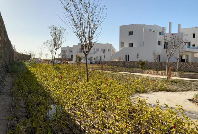 7988291 - صورة العقار 3