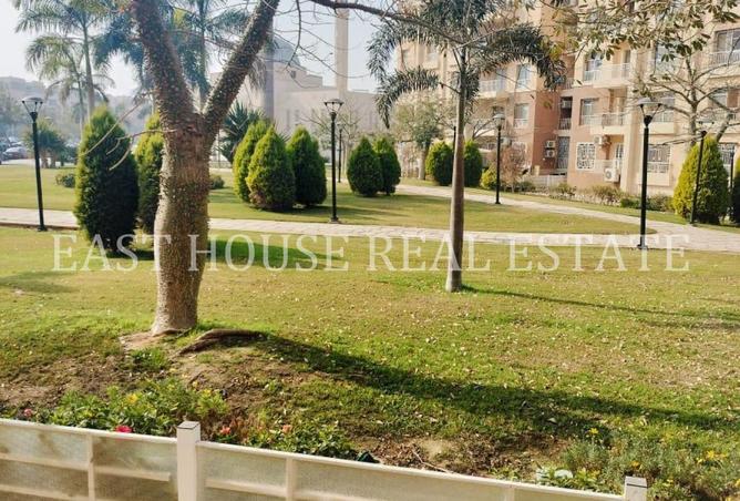 8231079 - Property Image 3