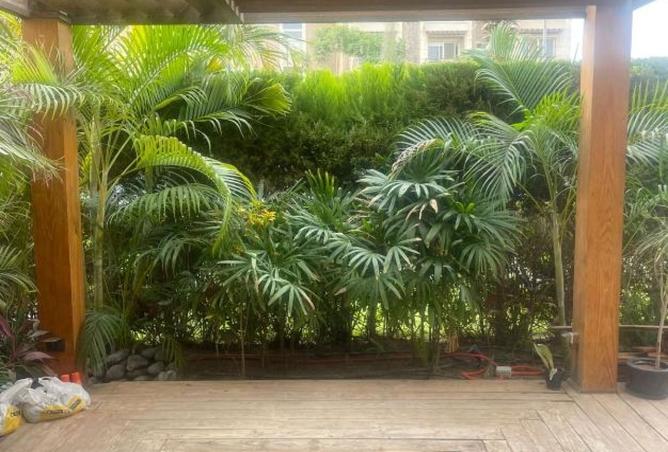 8328314 - Property Image 3